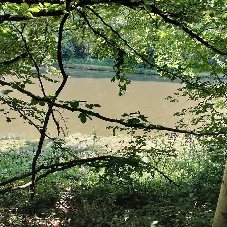 Deux Etangs Poissonneux Au Milieu Des Bois Avec Gite Moderne, La Halte Des Deux Lacs Rosée 外观 照片