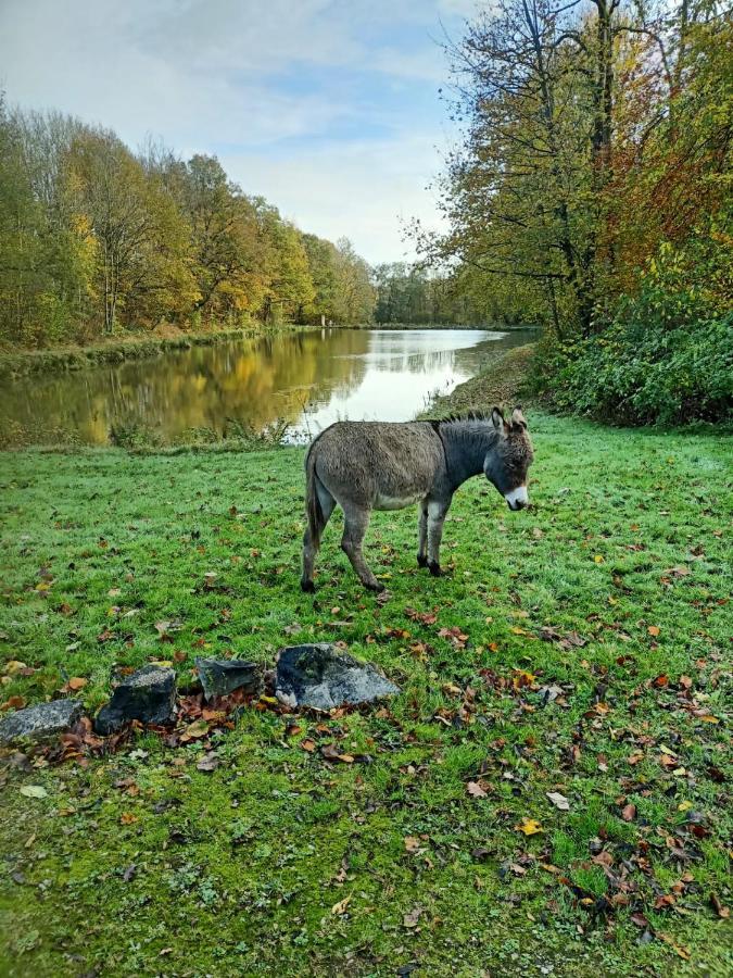 Deux Etangs Poissonneux Au Milieu Des Bois Avec Gite Moderne, La Halte Des Deux Lacs Rosée 外观 照片