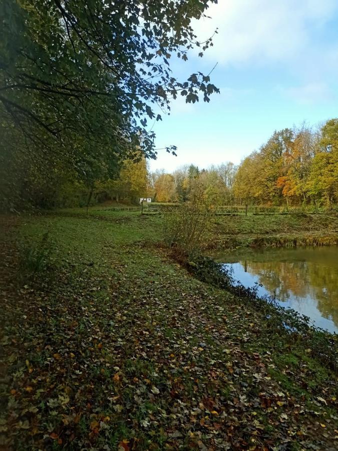 Deux Etangs Poissonneux Au Milieu Des Bois Avec Gite Moderne, La Halte Des Deux Lacs Rosée 外观 照片