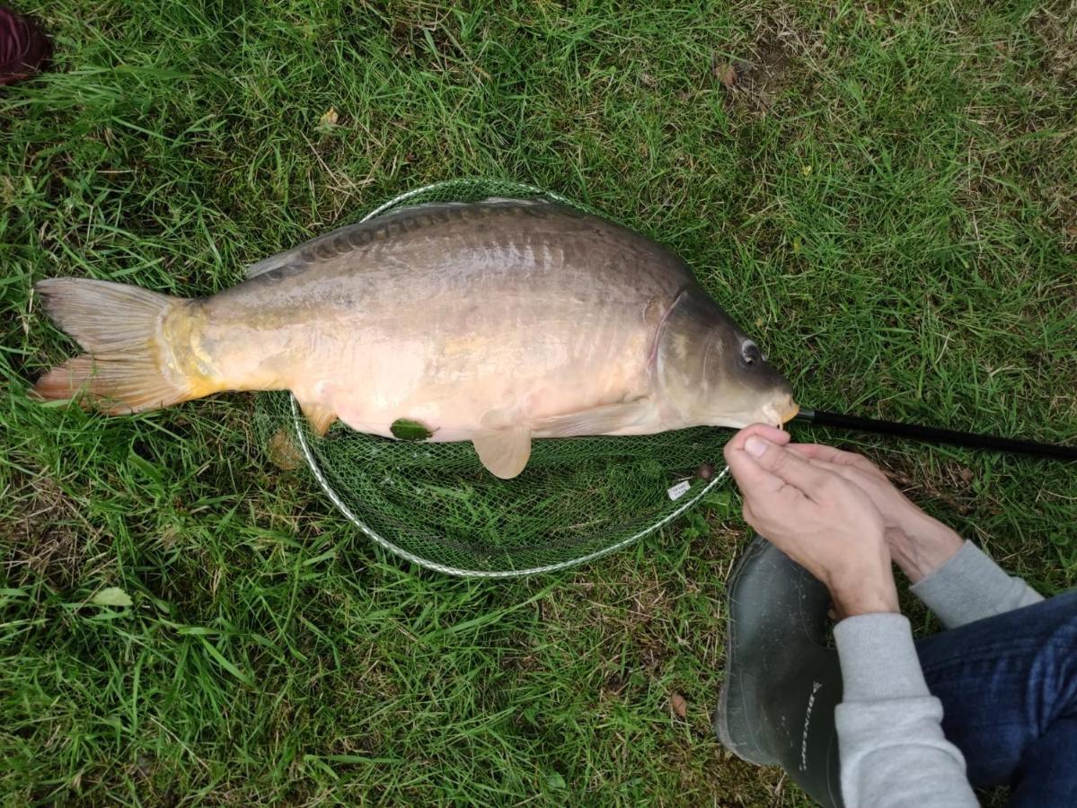 Deux Etangs Poissonneux Au Milieu Des Bois Avec Gite Moderne, La Halte Des Deux Lacs Rosée 外观 照片