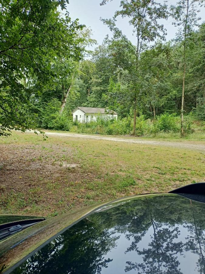 Deux Etangs Poissonneux Au Milieu Des Bois Avec Gite Moderne, La Halte Des Deux Lacs Rosée 外观 照片