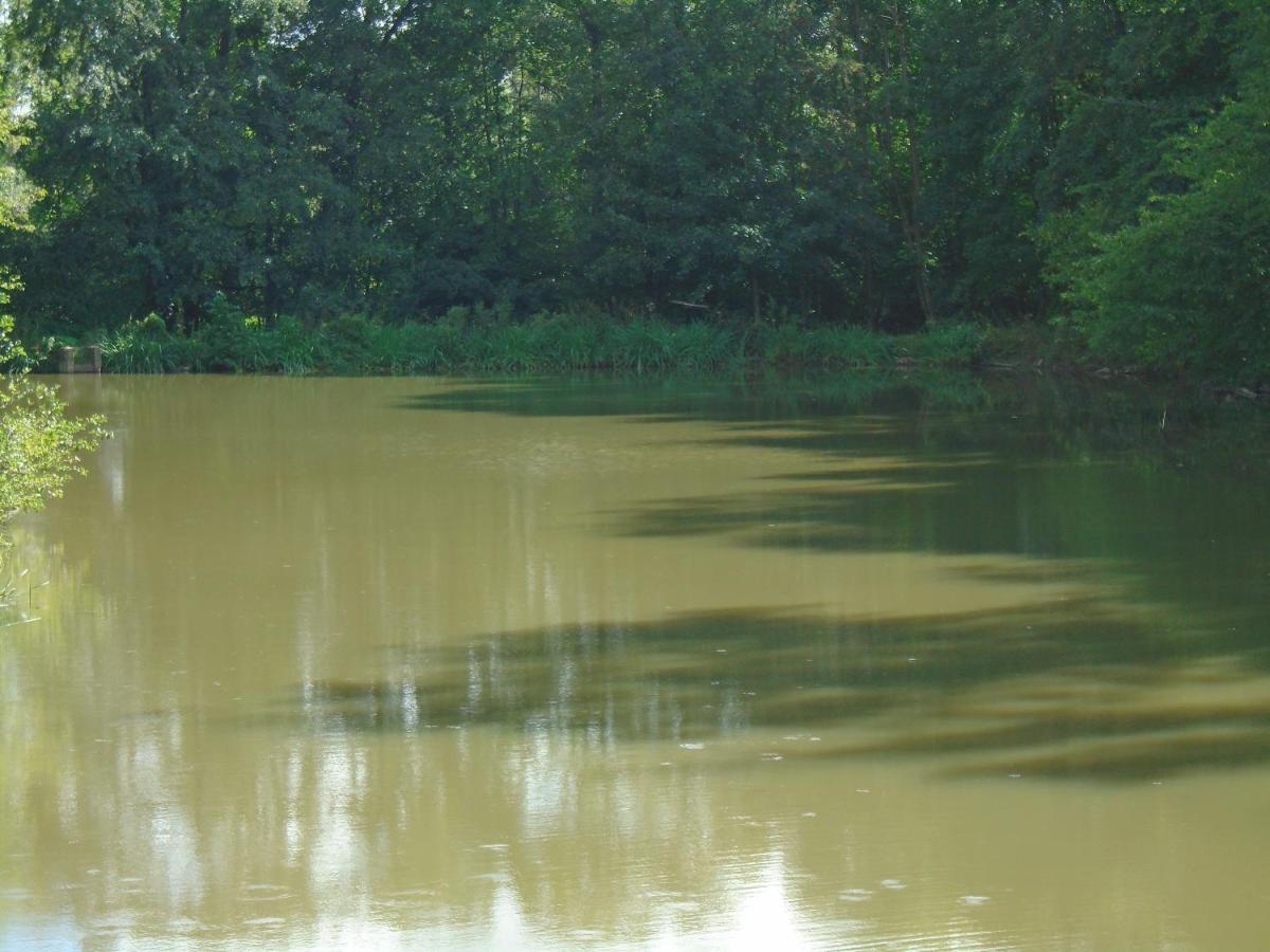 Deux Etangs Poissonneux Au Milieu Des Bois Avec Gite Moderne, La Halte Des Deux Lacs Rosée 外观 照片