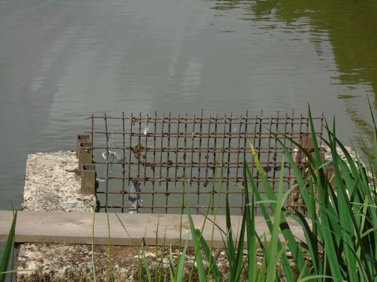 Deux Etangs Poissonneux Au Milieu Des Bois Avec Gite Moderne, La Halte Des Deux Lacs Rosée 外观 照片