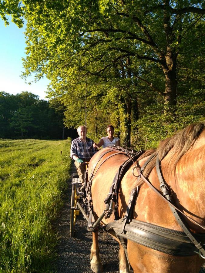 Deux Etangs Poissonneux Au Milieu Des Bois Avec Gite Moderne, La Halte Des Deux Lacs Rosée 外观 照片