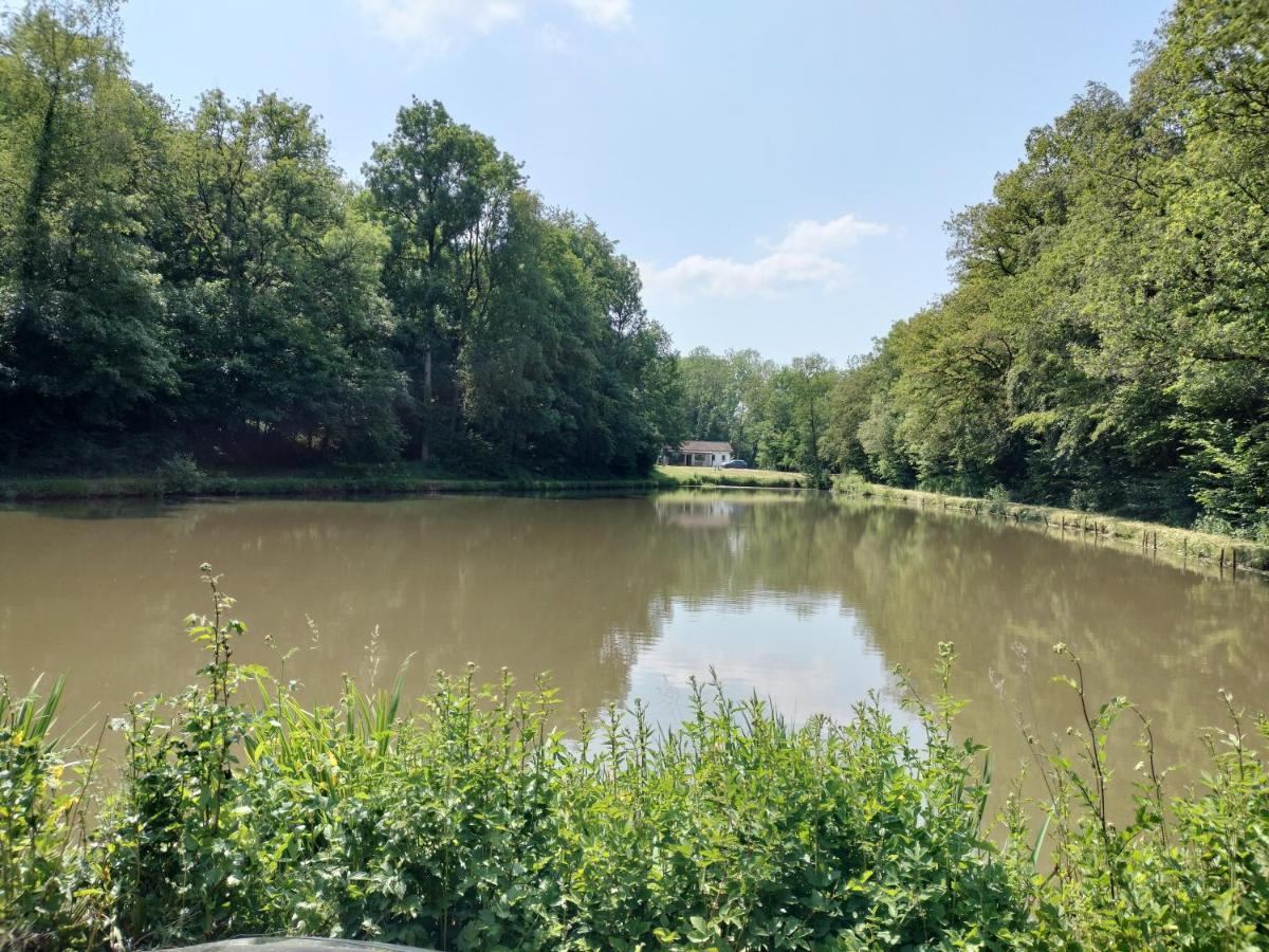 Deux Etangs Poissonneux Au Milieu Des Bois Avec Gite Moderne, La Halte Des Deux Lacs Rosée 外观 照片