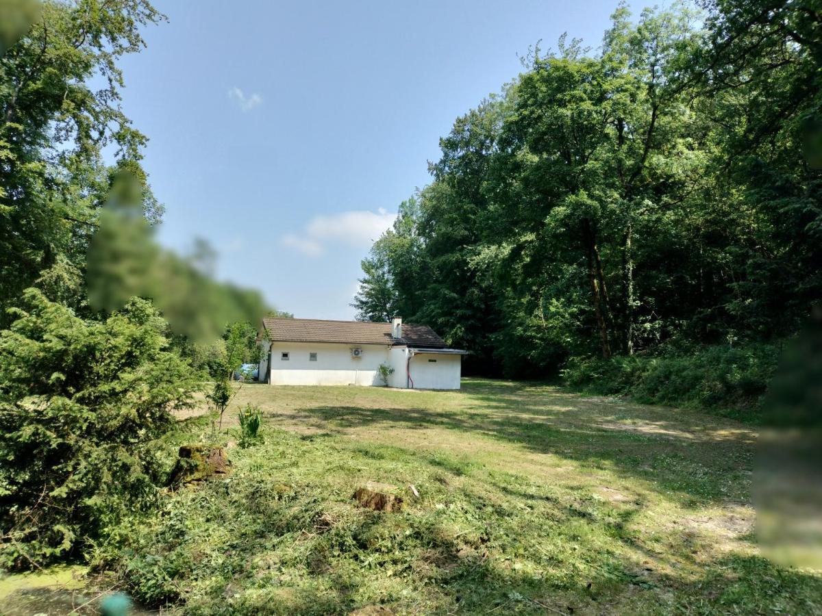 Deux Etangs Poissonneux Au Milieu Des Bois Avec Gite Moderne, La Halte Des Deux Lacs Rosée 外观 照片