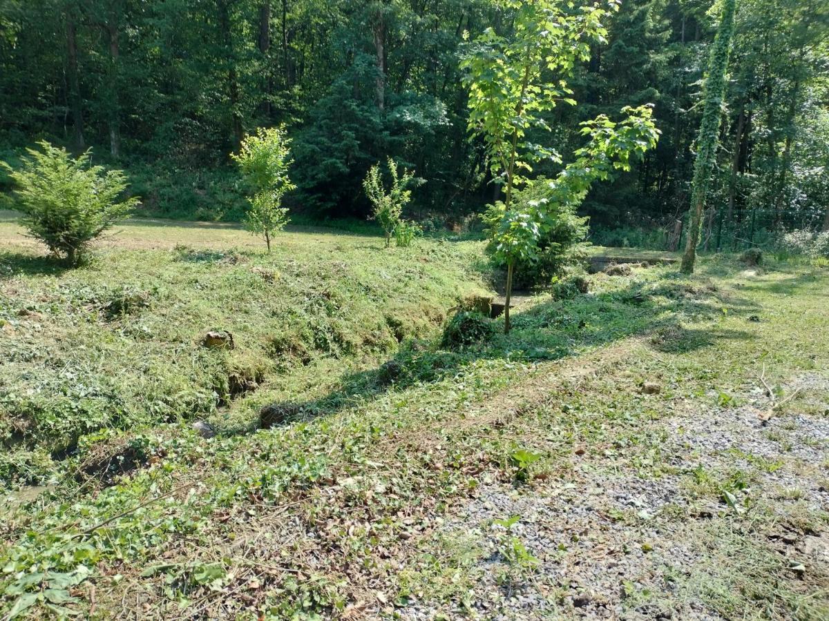 Deux Etangs Poissonneux Au Milieu Des Bois Avec Gite Moderne, La Halte Des Deux Lacs Rosée 外观 照片