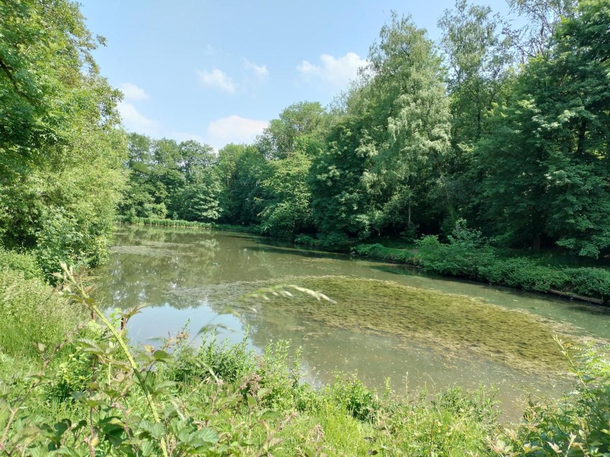Deux Etangs Poissonneux Au Milieu Des Bois Avec Gite Moderne, La Halte Des Deux Lacs Rosée 外观 照片